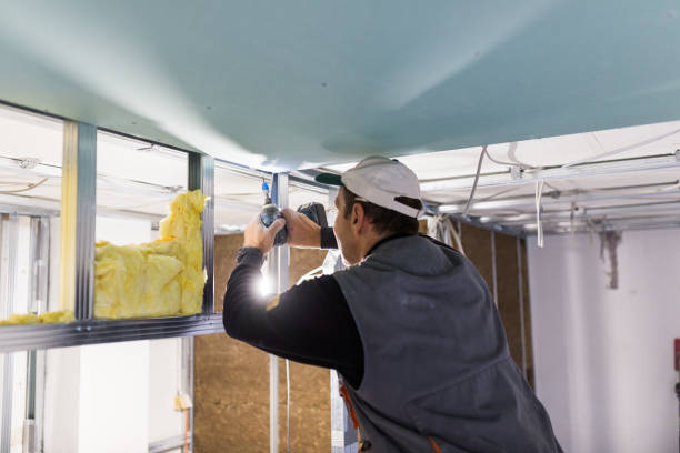 Best Insulation Removal  in Hellertown, PA